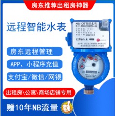 NB热水表DN20(含10年流量)