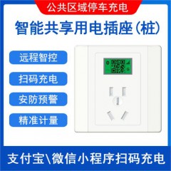 智能4G插座表(含10年流量，不带防水罩)