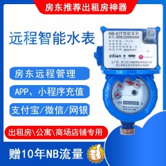 NB冷水表DN20(含10年流量)